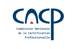 Cncp png