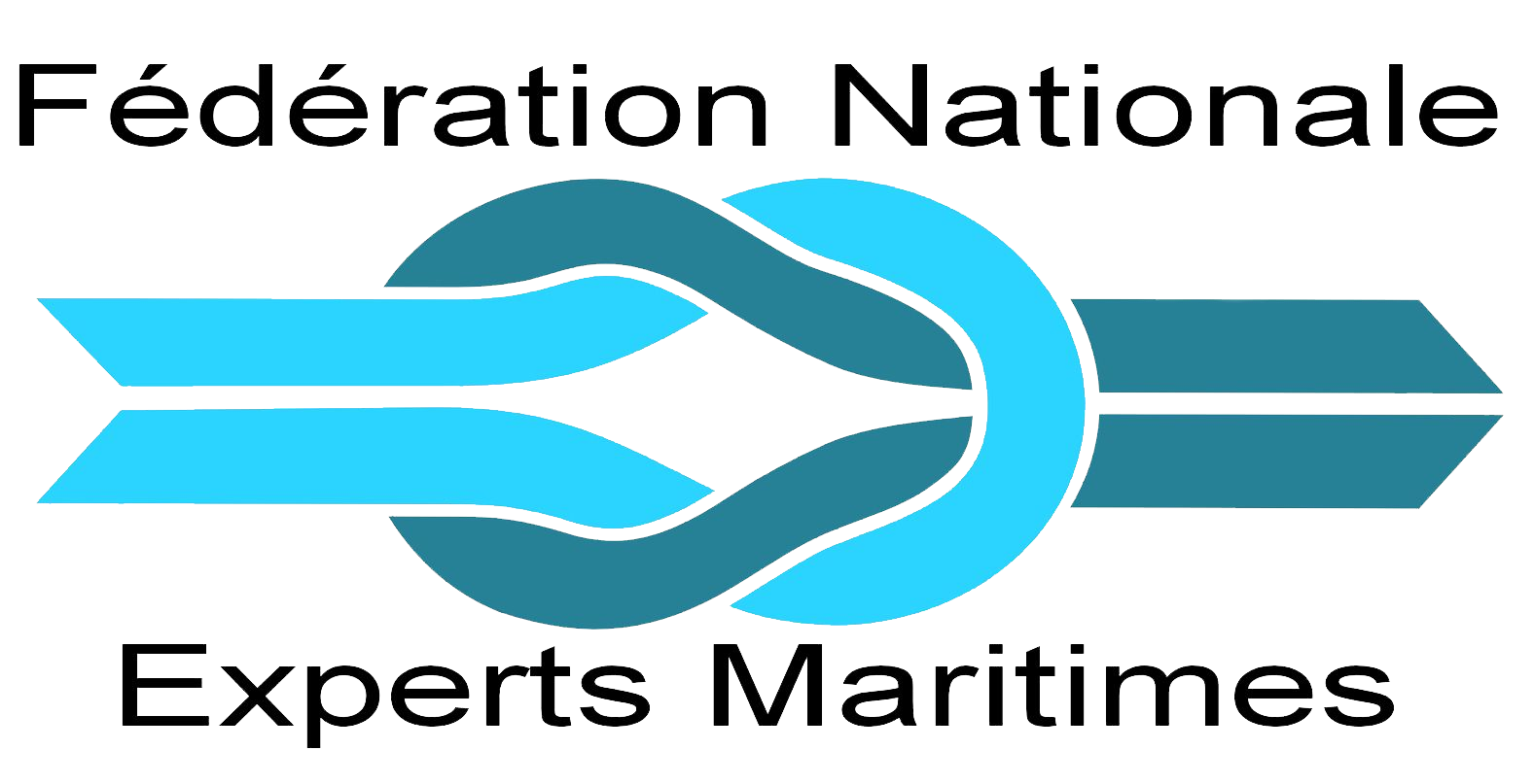 Logo fnem 1