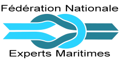 Logo fnem